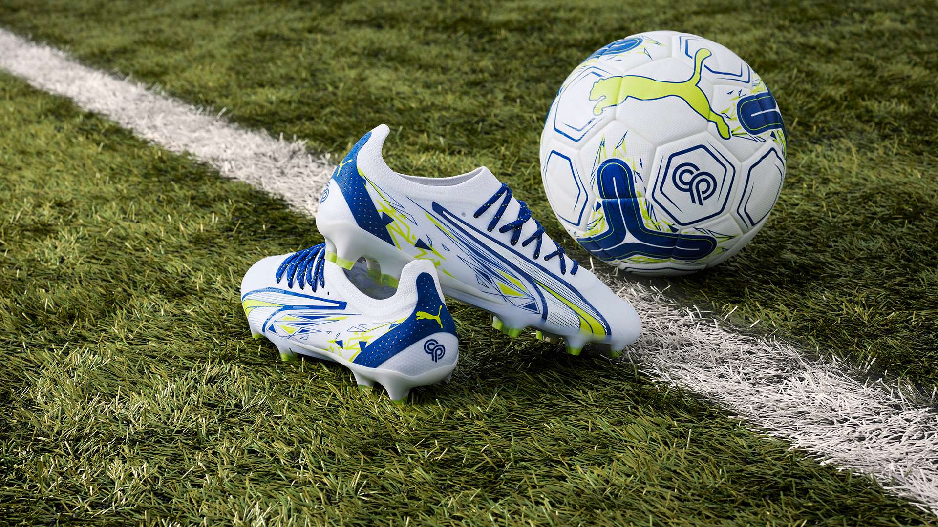 色为基调 色为基调