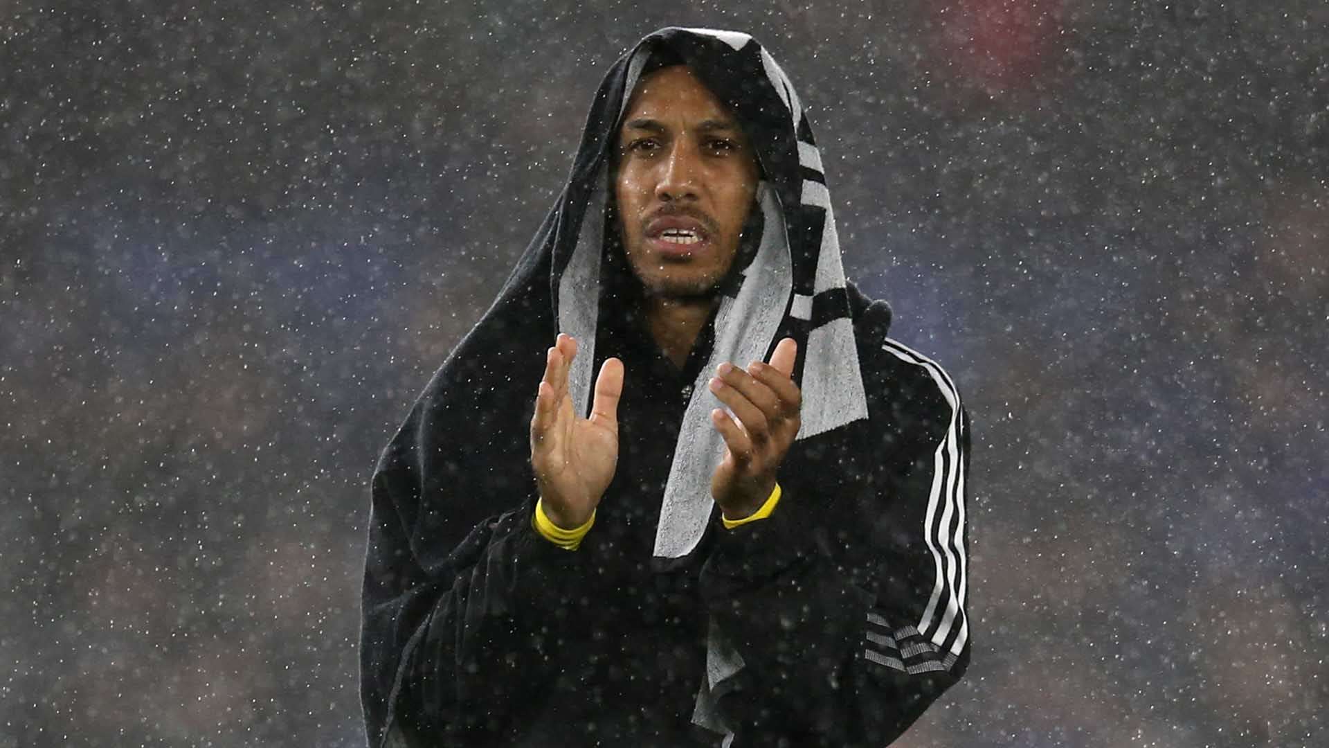 视野和创造 视野和创造